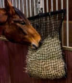 Рептух від Waldhausen - Зображення 6