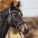 Трензель з вісімкою KK Ultra, товщина 14 мм від Sprenger - Зображення 5