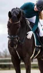 Резинка для тренінгу коня ReinRite Sport від ReinRite Equestrian - Зображення 2