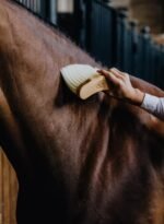 Щітка змахувалка для догляду за конем Middle Brush Long від Kentucky - Зображення 3