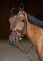 Вуздечка з комбінованим капсюлем Wavy з гумовим повіддям від HFI - Зображення 2