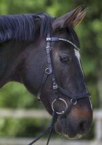 Трензель анатомічний KK, товщина 16 мм від Sprenger - Зображення 3