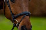 Вуздечка з комбінованим капсюлем Amsterdam від Trust Equestrian - Зображення 3