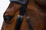 Вуздечка з комбінованим капсюлем Amsterdam від Trust Equestrian - Зображення 2