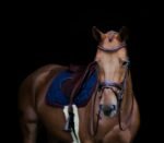 Ремінь налобний V-подібний Padded Crystal від HFI - Зображення 2