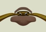 Трензель Turtle Top + Flex, товщина 16 мм, Ø - 70 мм від Neue Schule - Зображення 4