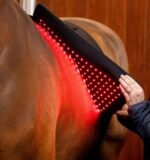Пад терапевтичний LED Red Light від Horseware - Зображення 3