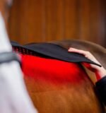 Пад терапевтичний LED Red Light від Horseware - Зображення 6