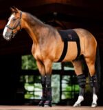 Пад терапевтичний LED Red Light від Horseware - Зображення 2