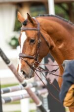 Шпрунт Leather/Nylon 5/8 від Dyon - Зображення 2