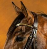 Ремінь налобний V-подібний Brass Clincher від Dyon - Зображення 3