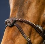 Ремінь підгубний (вісімка) Flash 1/2” With 2 Removable Attachments з двома кріпленнями від Dyon - Зображення 2