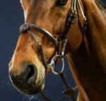 Ремінь підгубний (вісімка) Flash 1/2” With 2 Removable Attachments з двома кріпленнями від Dyon - Зображення 4