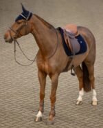 Вушка Velvet від Maximilian Equestrian - Зображення 4