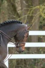 Шпрунт Leather/Nylon 5/8 від Dyon - Зображення 2