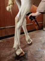 Шампунь сухий для виведення плям GD Green Spot & Dust Remover від Kentucky, 500 мл - Зображення 3