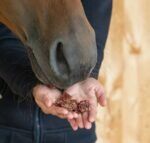 Ласощі Snacks Mini від Pony Bueno, 150 г - Зображення 4