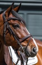 Пелям з вісімкою Kimblewick KK Ultra від Sprenger - Зображення 5