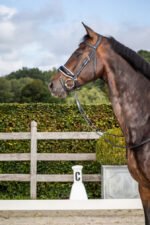 Ремінь потиличний Dressage від Dyon - Зображення 3