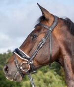 Ремінь потиличний Dressage від Dyon - Зображення 2