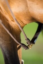 Шпрунт Allemandes від HFI - Зображення 2