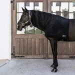 Капор Horse Scarf Heavy від Kentucky - Зображення 3