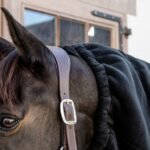 Капор Horse Scarf Heavy від Kentucky - Зображення 4