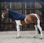 Капор Horse Scarf від Kentucky - Зображення 3