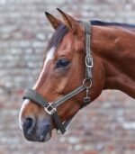 Недовуздок з флісом Alcantara від Waldhausen - Зображення 2