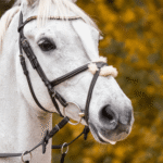 Трензель з вісімкою WH Ultra, товщина 18 мм від Sprenger - Зображення 2