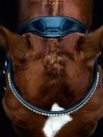 Вуздечка з комбінованим капсюлем Stanford від Schockemohle - Зображення 5