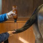 Шампунь GD Bubble Gum Gloss Shampoo від Kentucky, 500 мл - Зображення 5