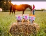 Ласощі Snacks Standard від Pony Bueno, 450 г - Зображення 4