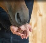 Ласощі Snacks Standard від Pony Bueno, 450 г - Зображення 2