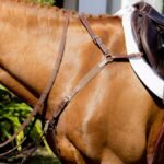 Підперстя від CWD - Зображення 4