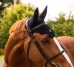 Вушка Flyshield Swarovski FW25 від Samshield - Зображення 5