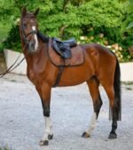 Вальтрап конкурний Springschabracke від BOSS - Зображення 4