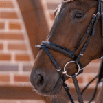 Трензель з вісімкою KK Ultra, товщина 18 мм від Sprenger - Зображення 5