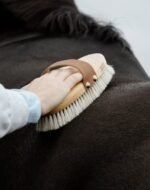 Щітка для догляду за конем Overall Shine від Kentucky - Зображення 2