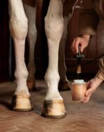 Олія для копит GD Hoof Oil Shine від Kentucky, 500 мл - Зображення 3