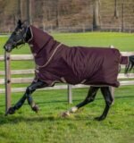 Попона прогулянкова з капором Amigo Hero Ripstop Plus Turnout Med 200 г від Horseware