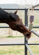 Іграшка-ласощі в денник Wooden Relax Freedom від Kentucky - Зображення 6