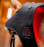 Ковпак терапевтичний LED Red Light від Horseware - Зображення 7