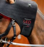 Ковпак терапевтичний LED Red Light від Horseware - Зображення 8