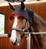 Ковпак терапевтичний LED Red Light від Horseware