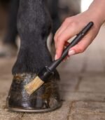 Пензлик для копит з ковпачком від Waldhausen - Зображення 3