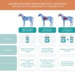 Добавка для дихальних шляхів Balsamic Air від Audevard, 500 мл - Зображення 2
