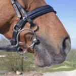 Трензель олімпійський з вісімкою, товщина 18 мм KK Ultra від Sprenger - Зображення 5