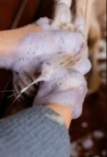 Шампунь для виведення плям GD Almond Gloss Purple від Kentucky, 500 мл - Зображення 4