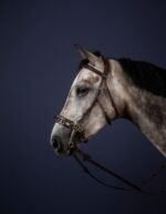 Ремінці нащічні - перехідники до хакамори від Dyon - Зображення 3